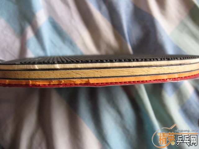 ���ų���ֱEG