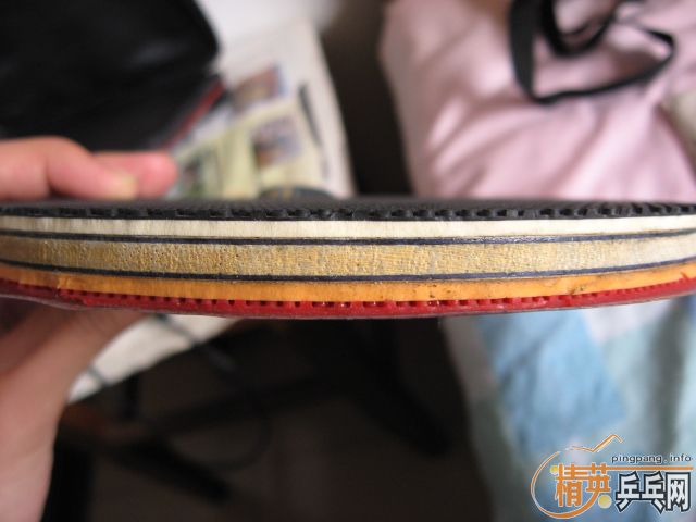 ���ų���ֱEG