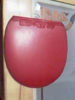 �ٳ�YASAKA YO���հ�ֱ�������ѳ�����