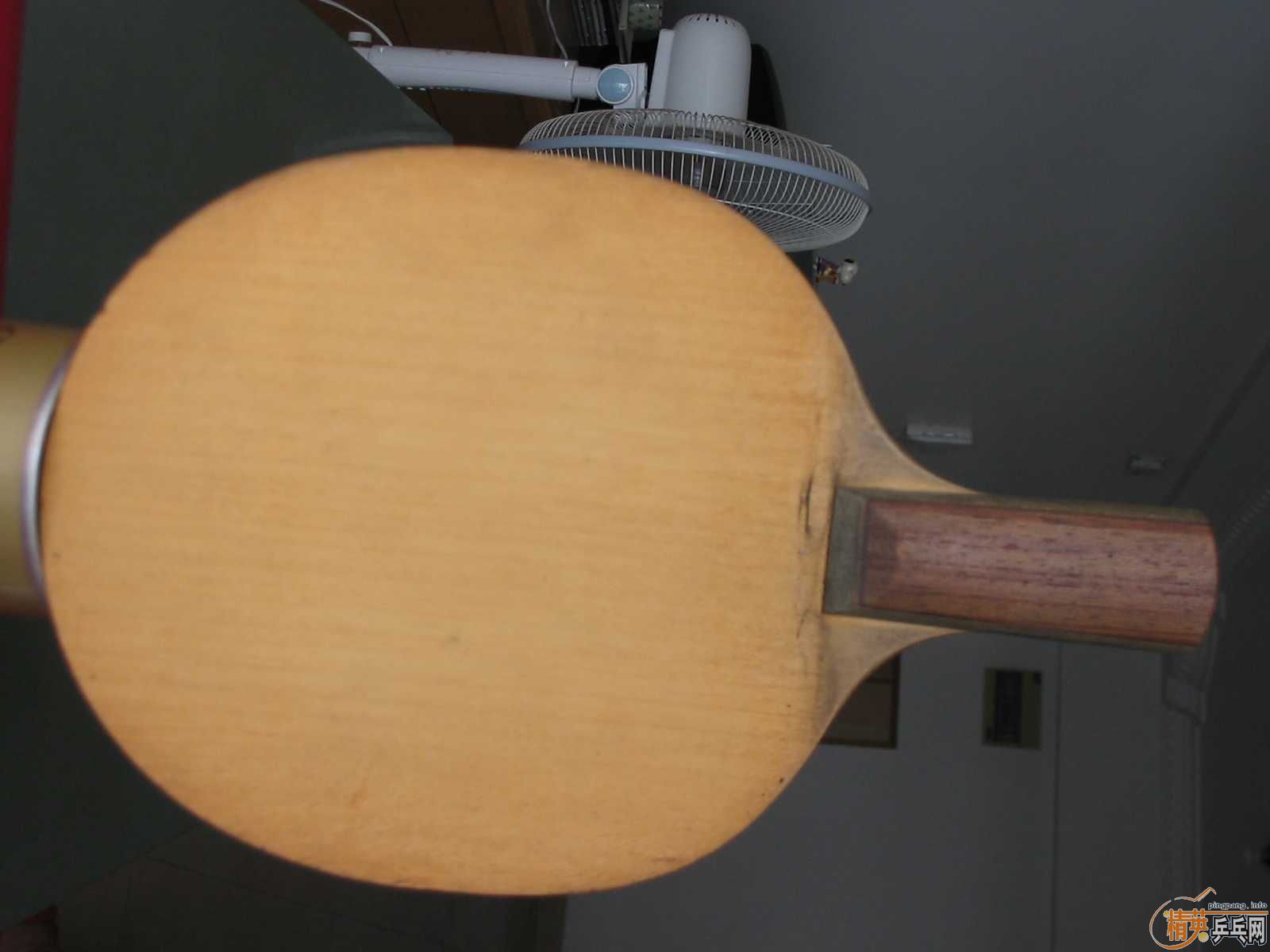 ������������֧���ӣ�����ʲô���δΣ�