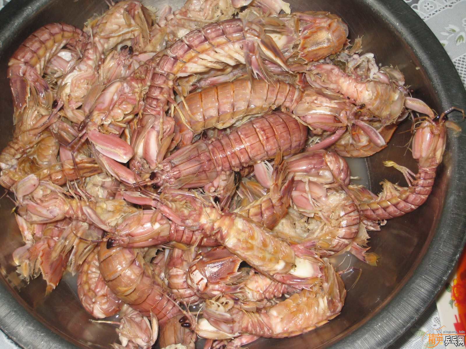 [ԭ��]����̼��ye-3d������FL��