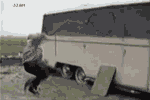 ȥɱˣ