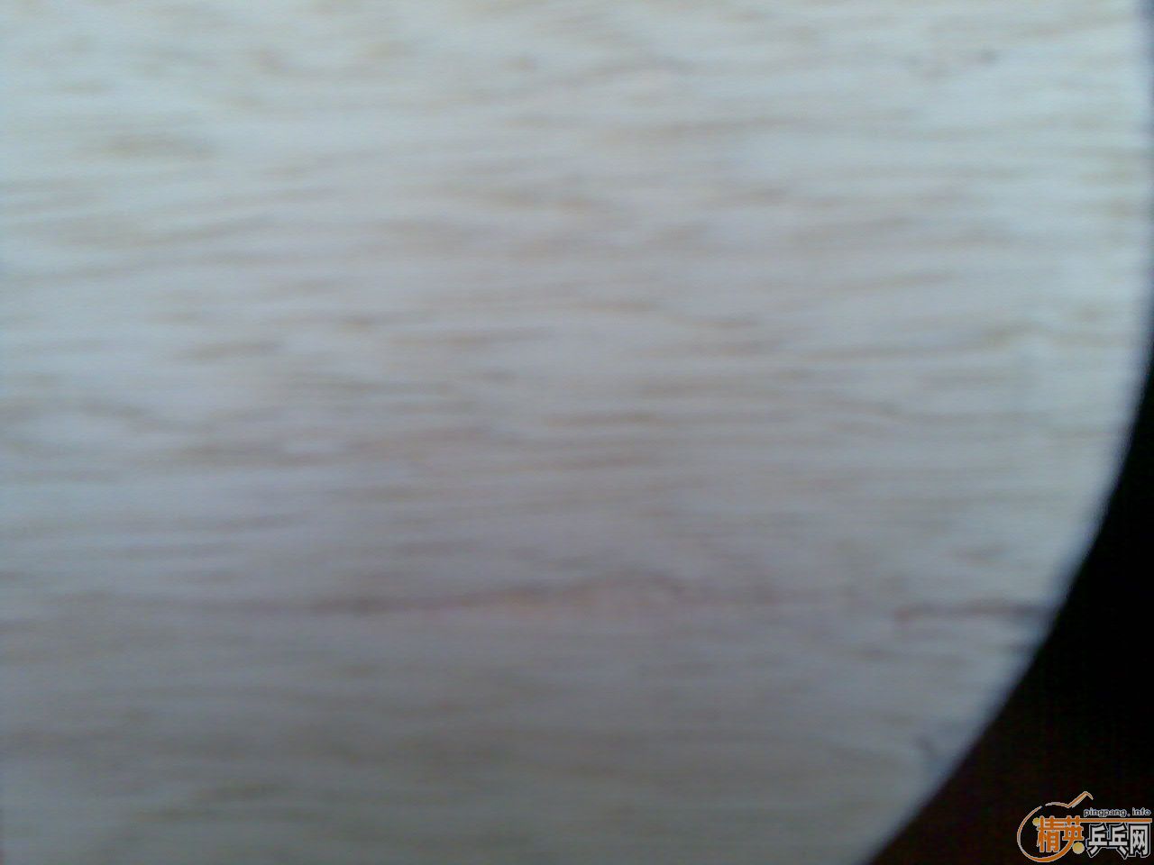 �� stiga CL  �л�, 8.5����