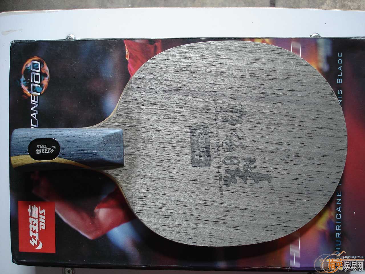 ��ʦ�ܳ����һ�����