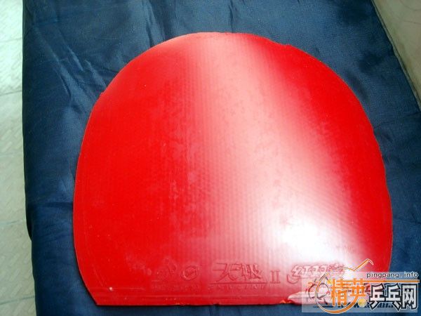 [����]�������ı�������������