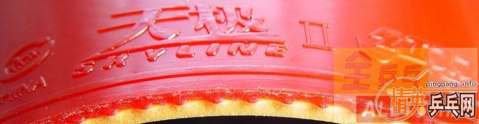 [����]�������ı�������������