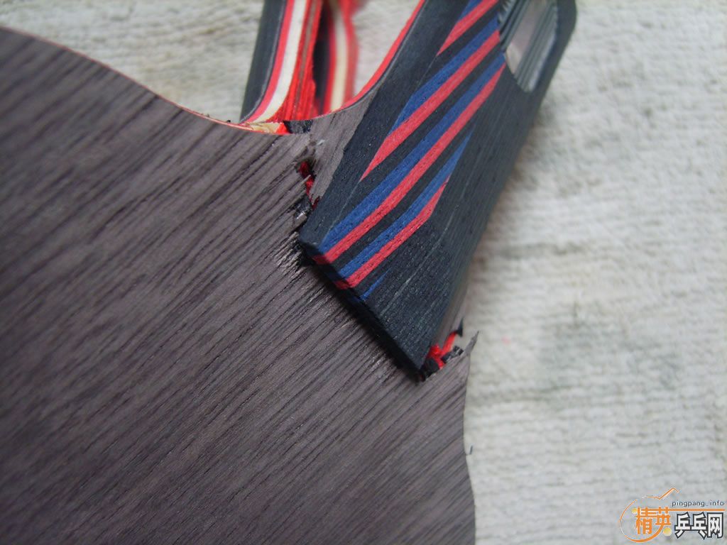 8ͼ��ȫ�º��penʬ�壬˭Ҫ���ۣ�Ԥ��180���죨���ƹ�Ǻ��