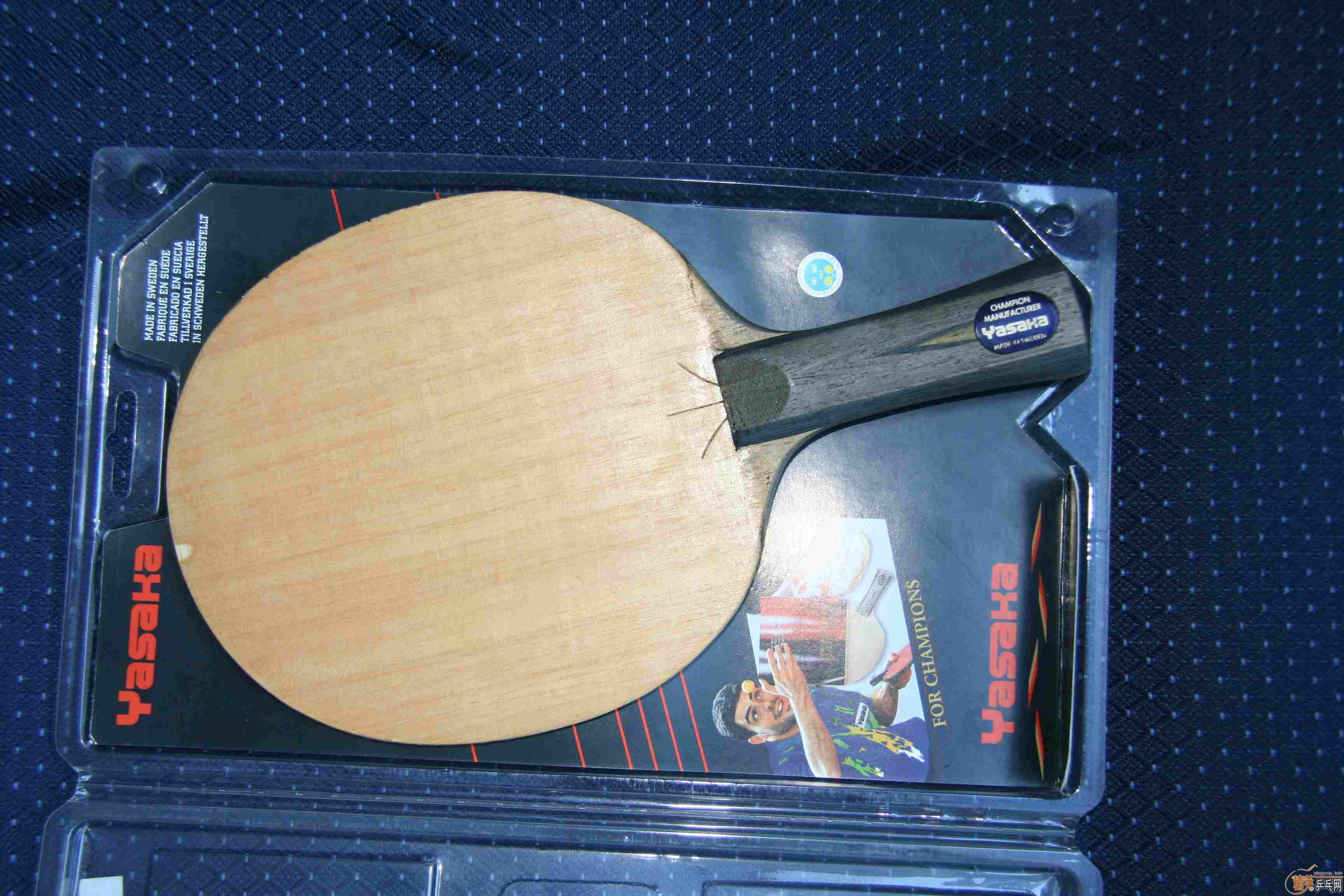 [ԭ��]ŷ���YE-3D��壬220����