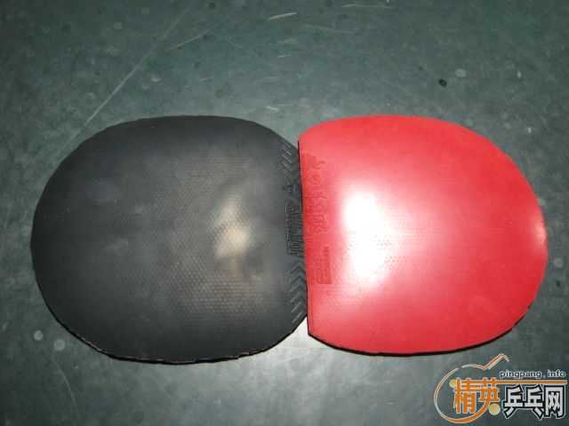 yasaka maxwoodֱ��+����+JO ������310����