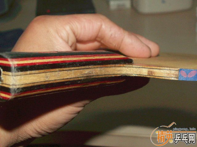 �����ѳ�ʩ̼FL��һЩ�׽�