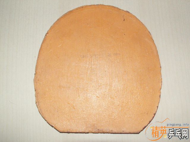 �����ѳ�ʩ̼FL��һЩ�׽�