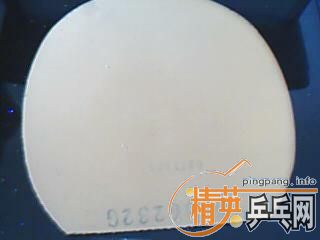 ������������  ����Ҳ���Ը�Ǯ����