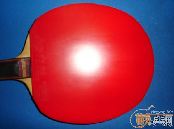 9.5ºɫ40ʡF1   100