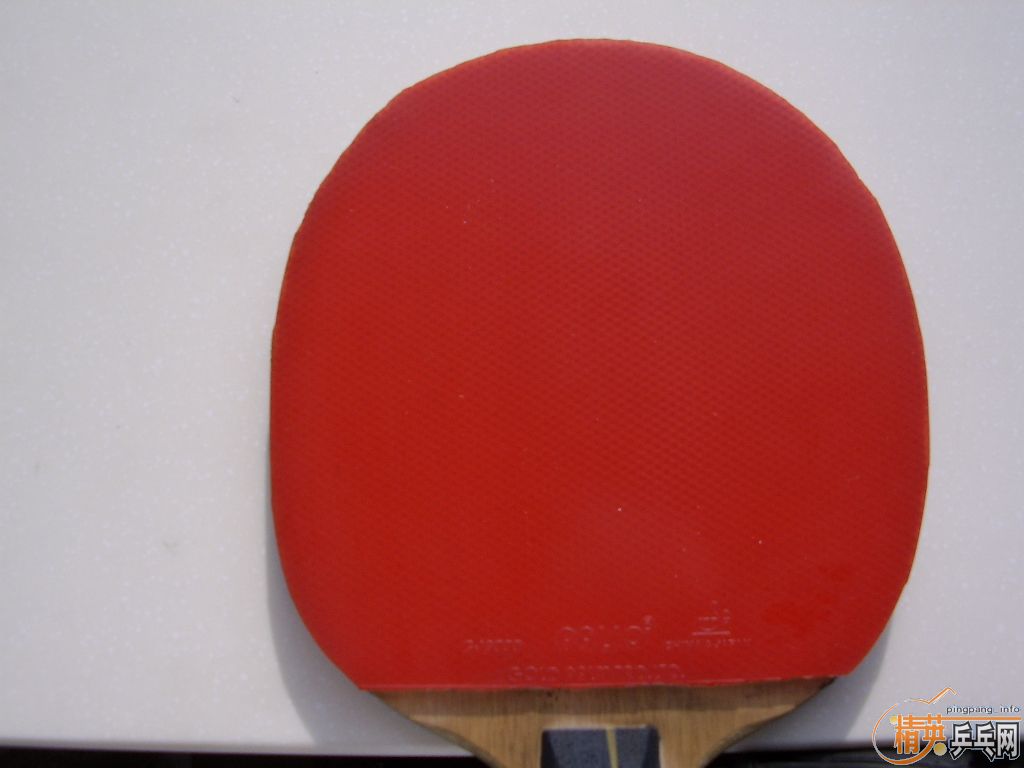 �׽�̫�� ���˳��׽� ��ҿ�����