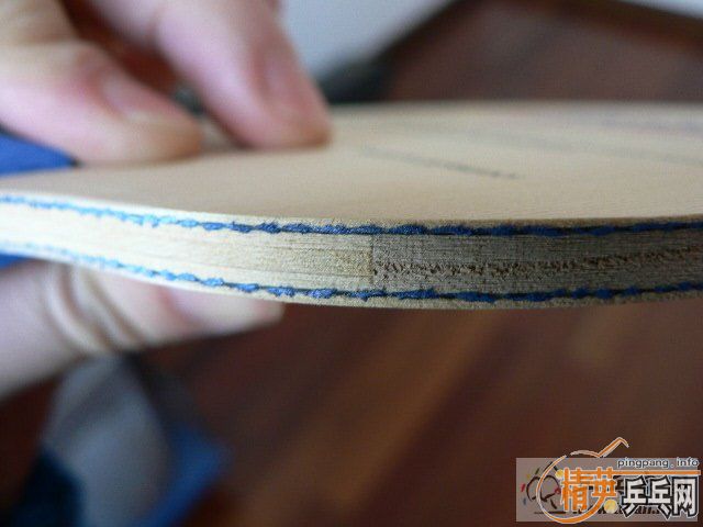 donic ��2 fl,9�����ϻ������׽�