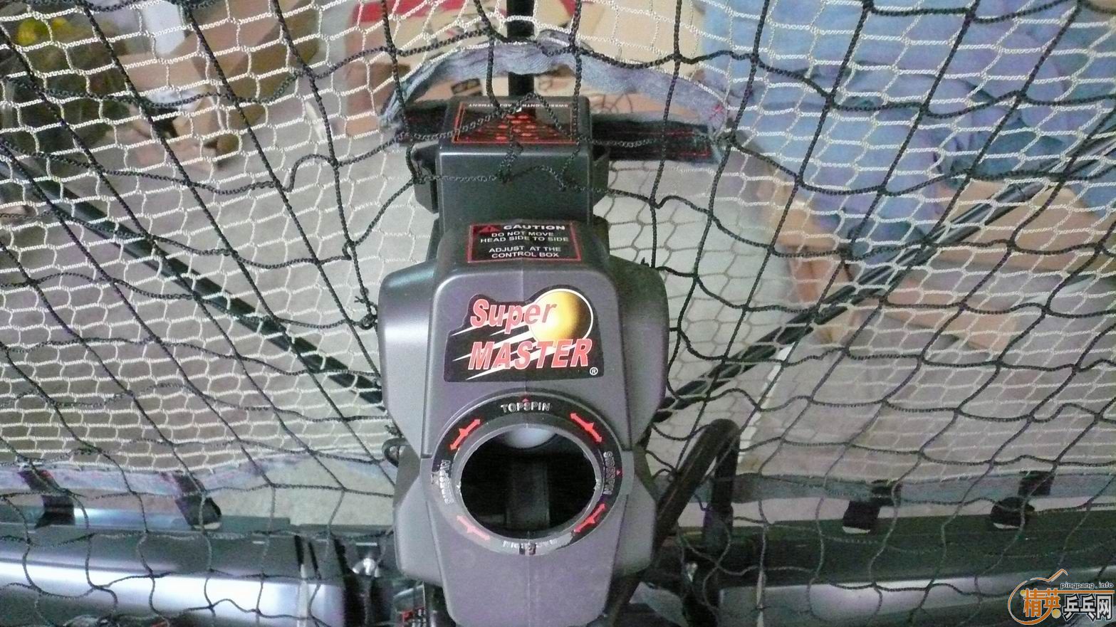 ���۸�������9���µĳ���������2�������