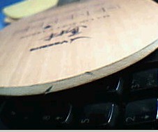 �ųɰ���µ�С����ŷ������̼�ܻ���ʲô��