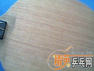 �ųɰ���µ�С����ŷ������̼�ܻ���ʲô��