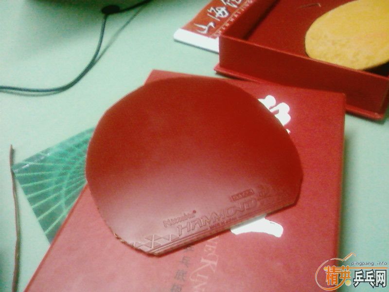 ��9.5�¿�����һ�Ž�Ƥ