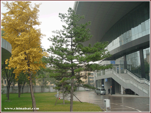 2007��"���Ľ���ά��"ƹ������������12��1��-2���ڱ�����ƽ��ά���ֲ���ݾ���,��ӭ��Ӳ���.