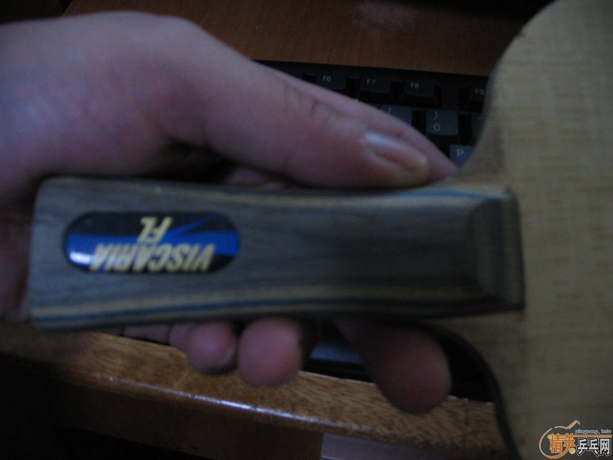 ֻ��ʮ���ֵ�7P2A���FL��9���µĺ��VIS