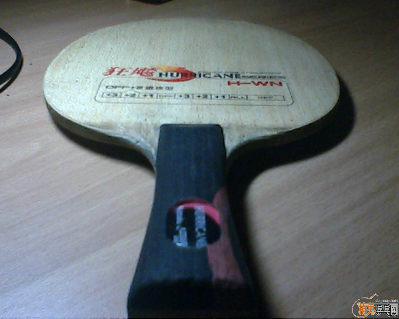 ����˫ϲ���ϵ�� H-WN  ����һֻ