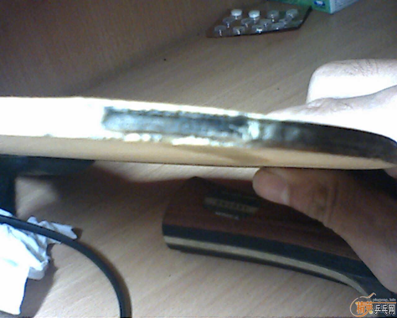 ����˫ϲ���ϵ�� H-WN  ����һֻ