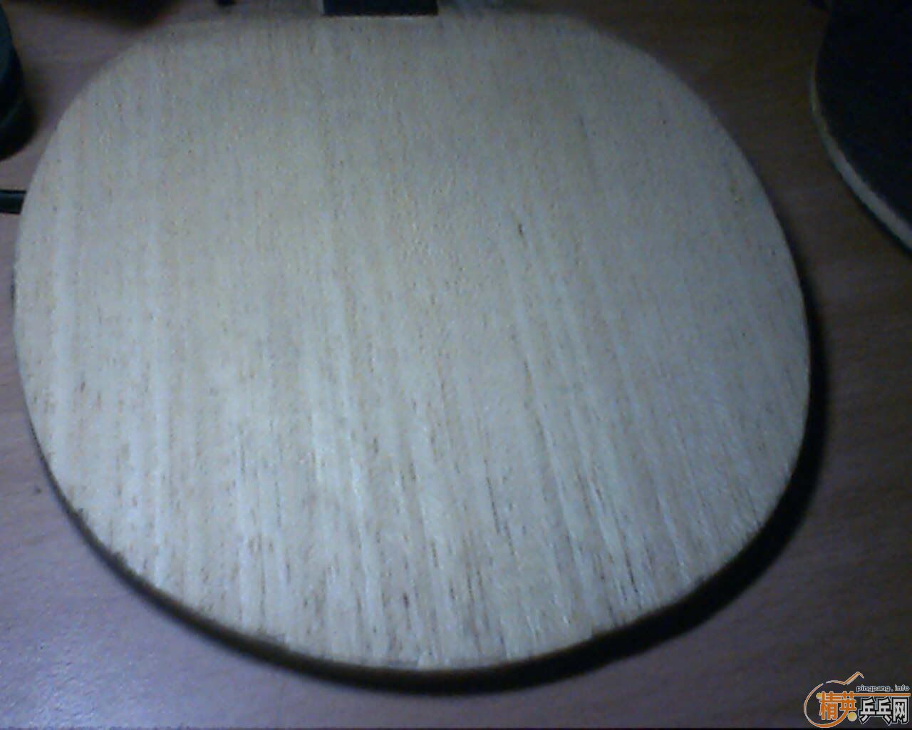 ����˫ϲ���ϵ�� H-WN  ����һֻ