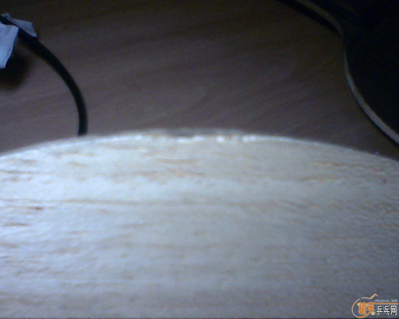 ����˫ϲ���ϵ�� H-WN  ����һֻ