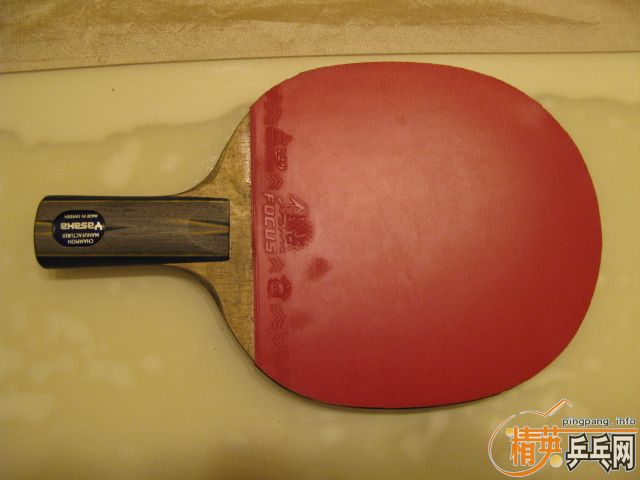 �ҵı���YASAKA YSC