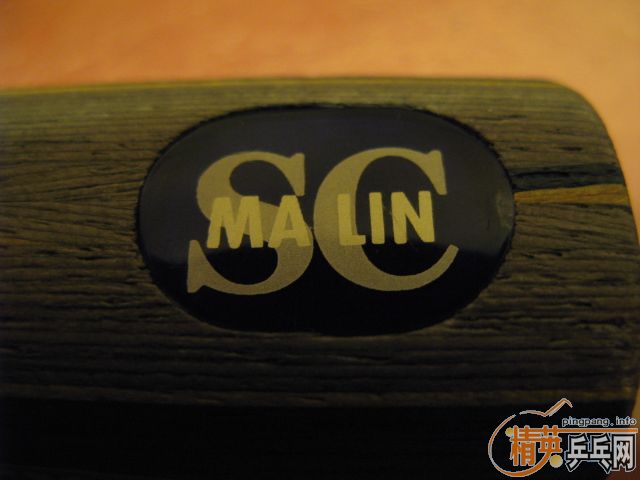 �ҵı���YASAKA YSC