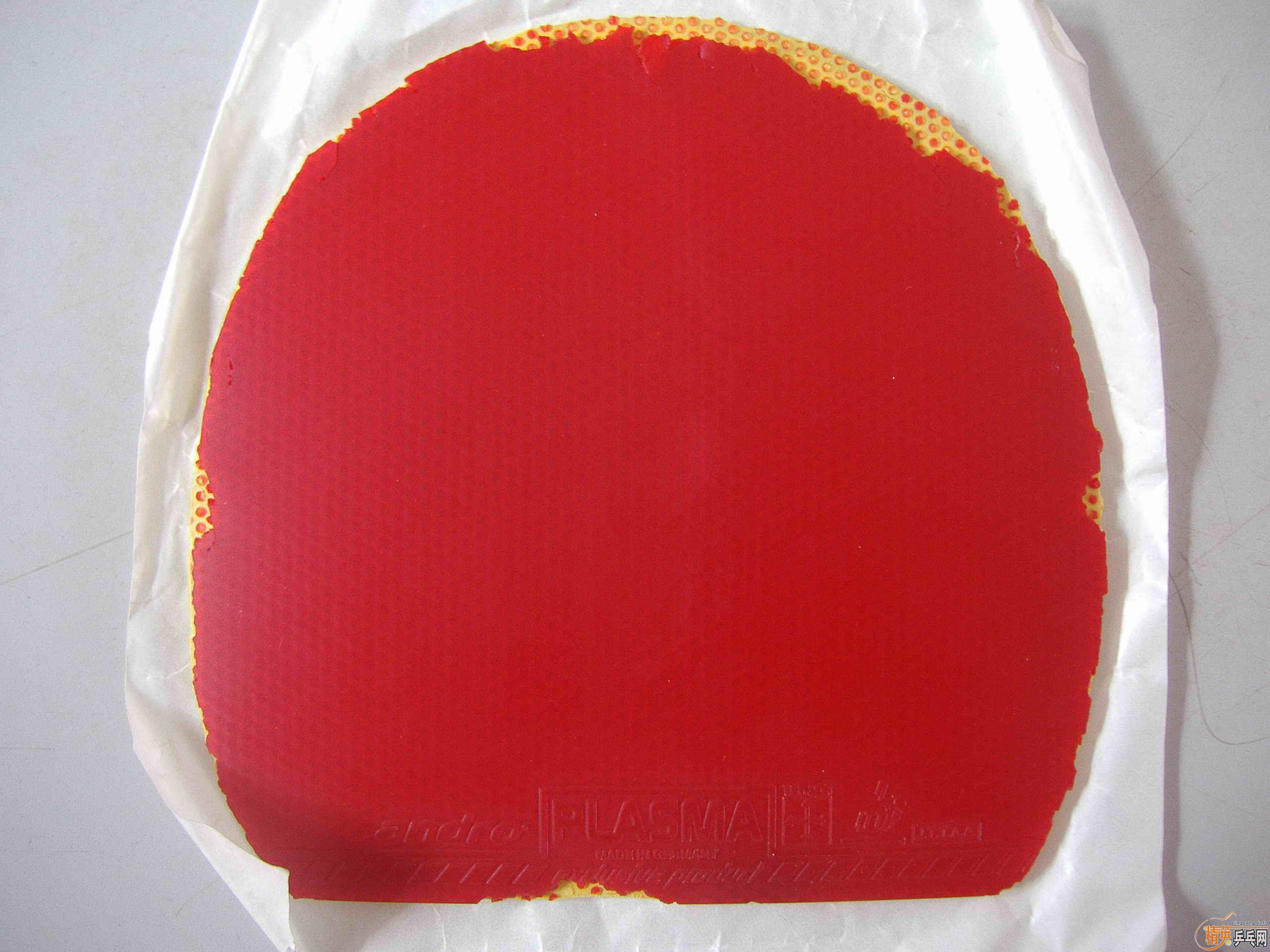 2�ֵ�Ѫ��470