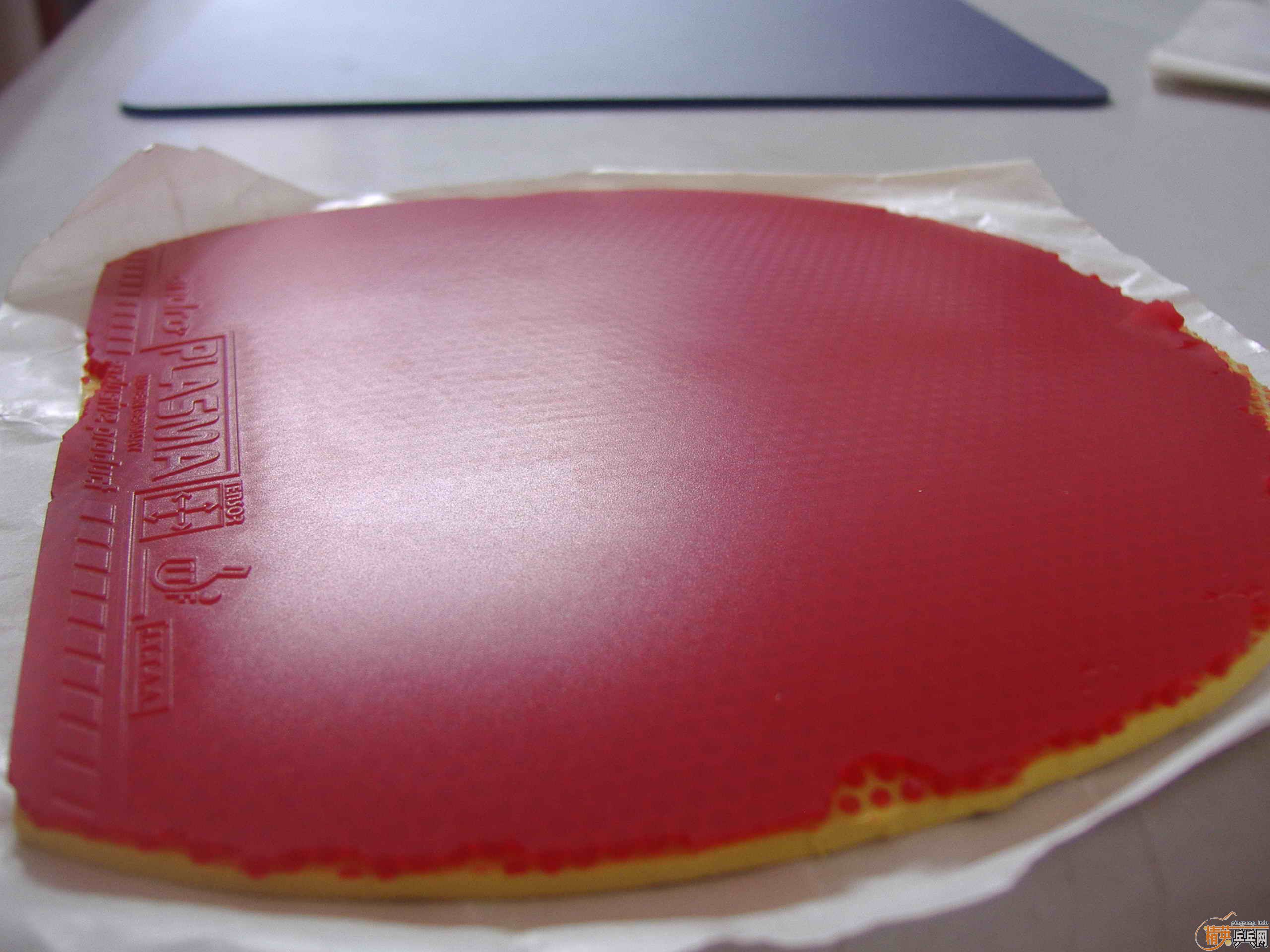 2�ֵ�Ѫ��470