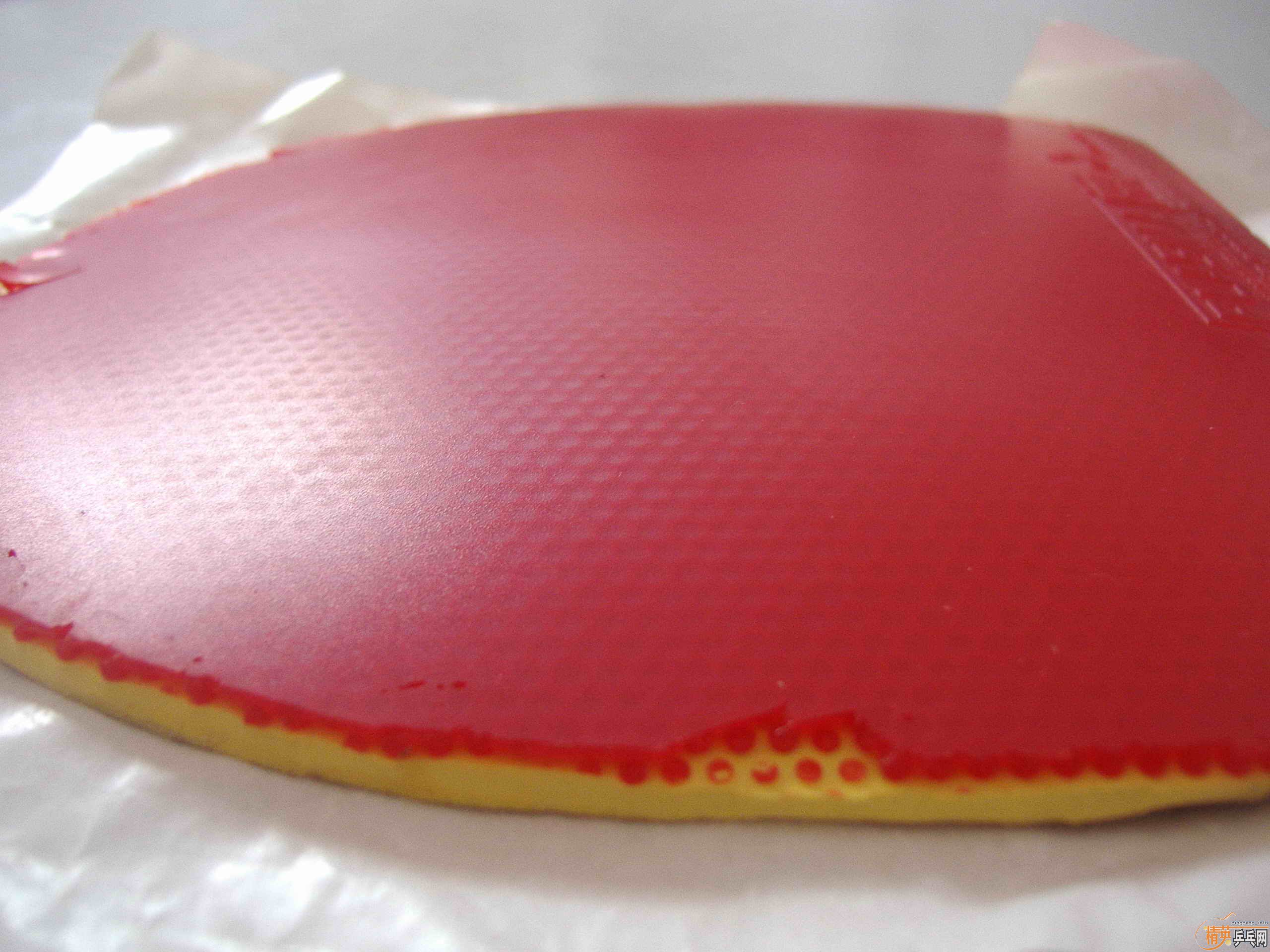 2�ֵ�Ѫ��470