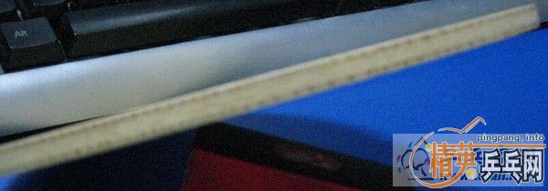 9.8����H-WL���ͽ�Ƥ����ݹ�250