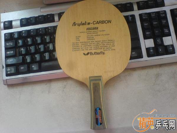 ����һ��������ά˹�����ǣ�����������