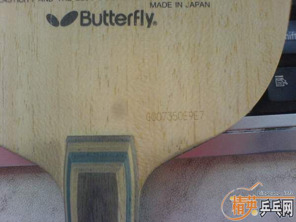 ����һ��������ά˹�����ǣ�����������