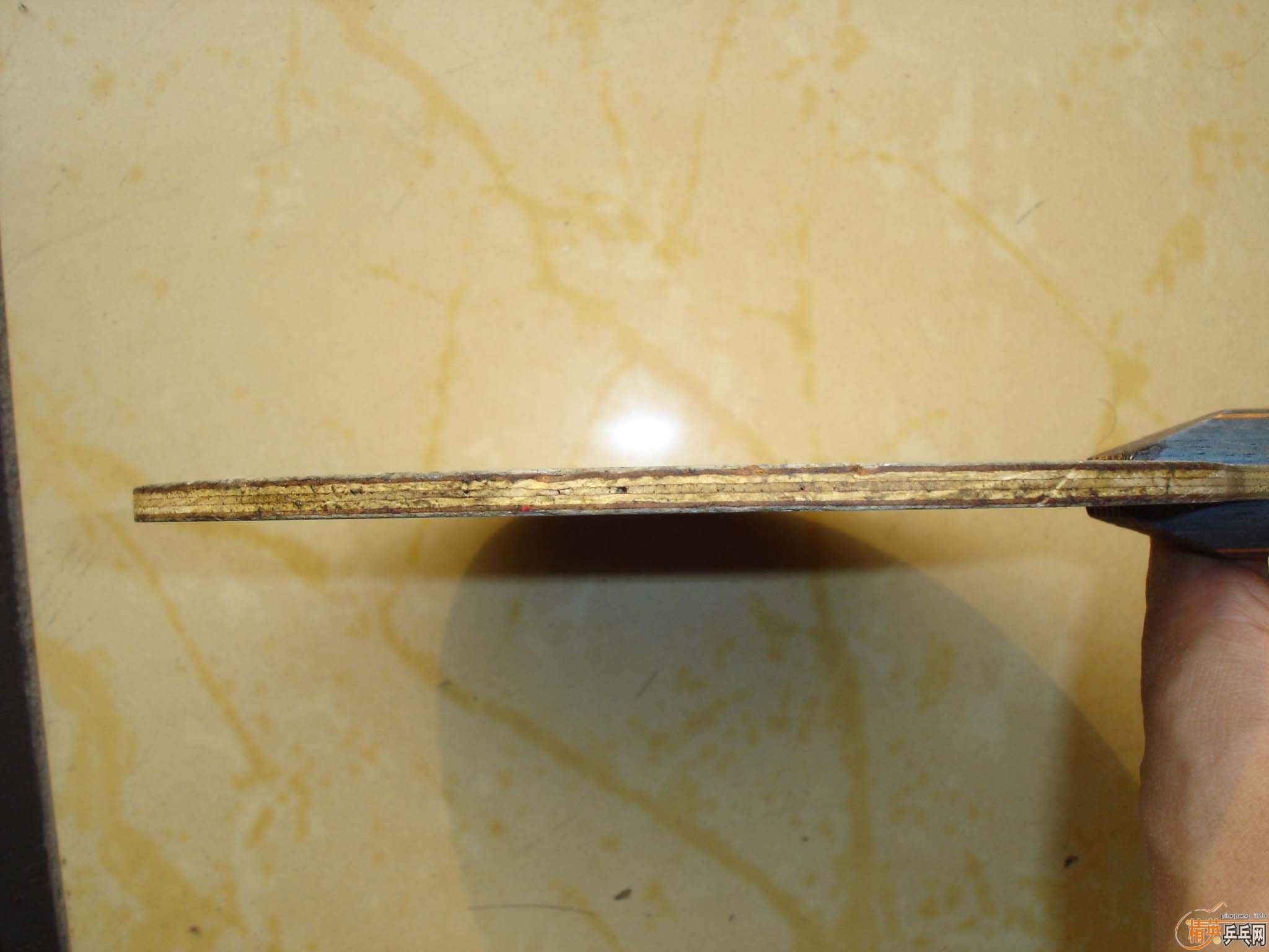 ���¹�ɱ��һֻ!