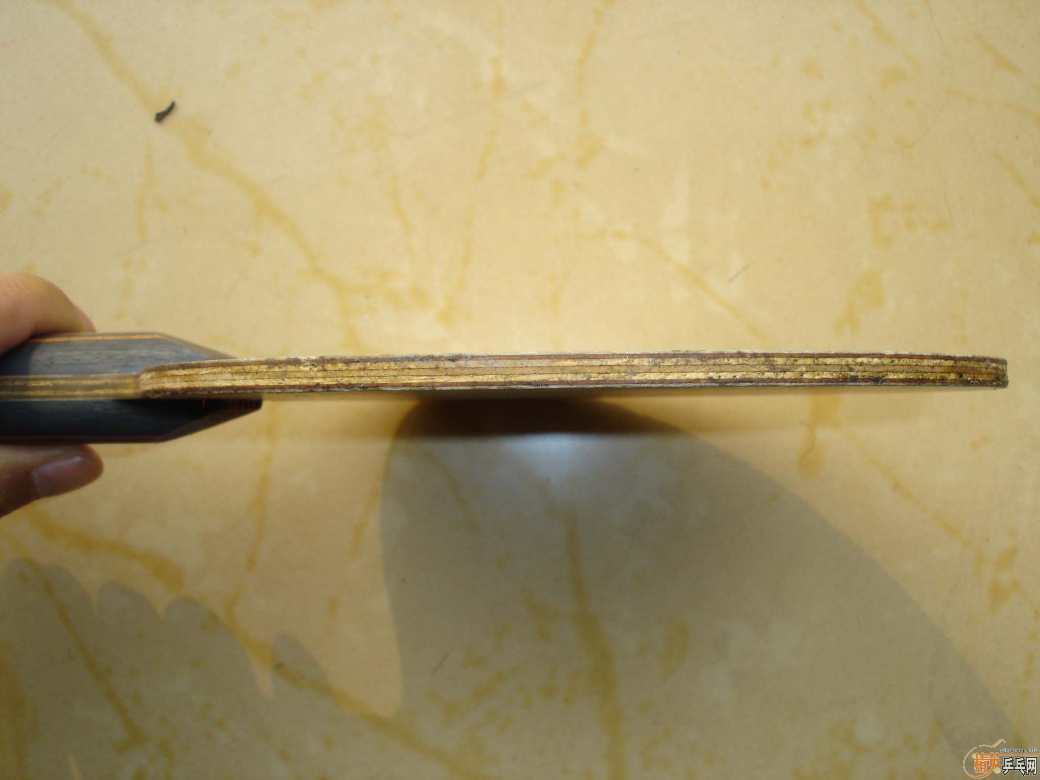 ���¹�ɱ��һֻ!