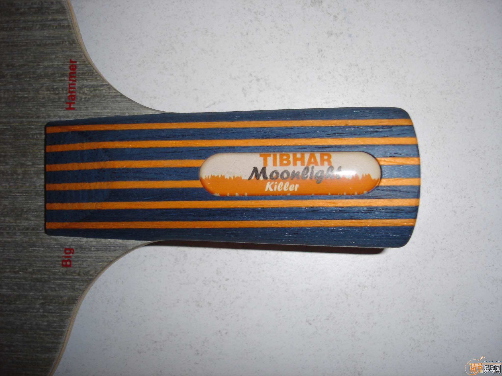 ���¹�ɱ��һֻ!