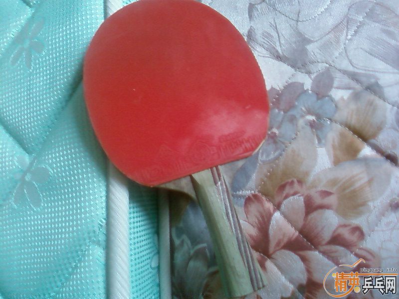 ���ּ������ӣ���P700��WL��TI54��CL���ȼ۸�����