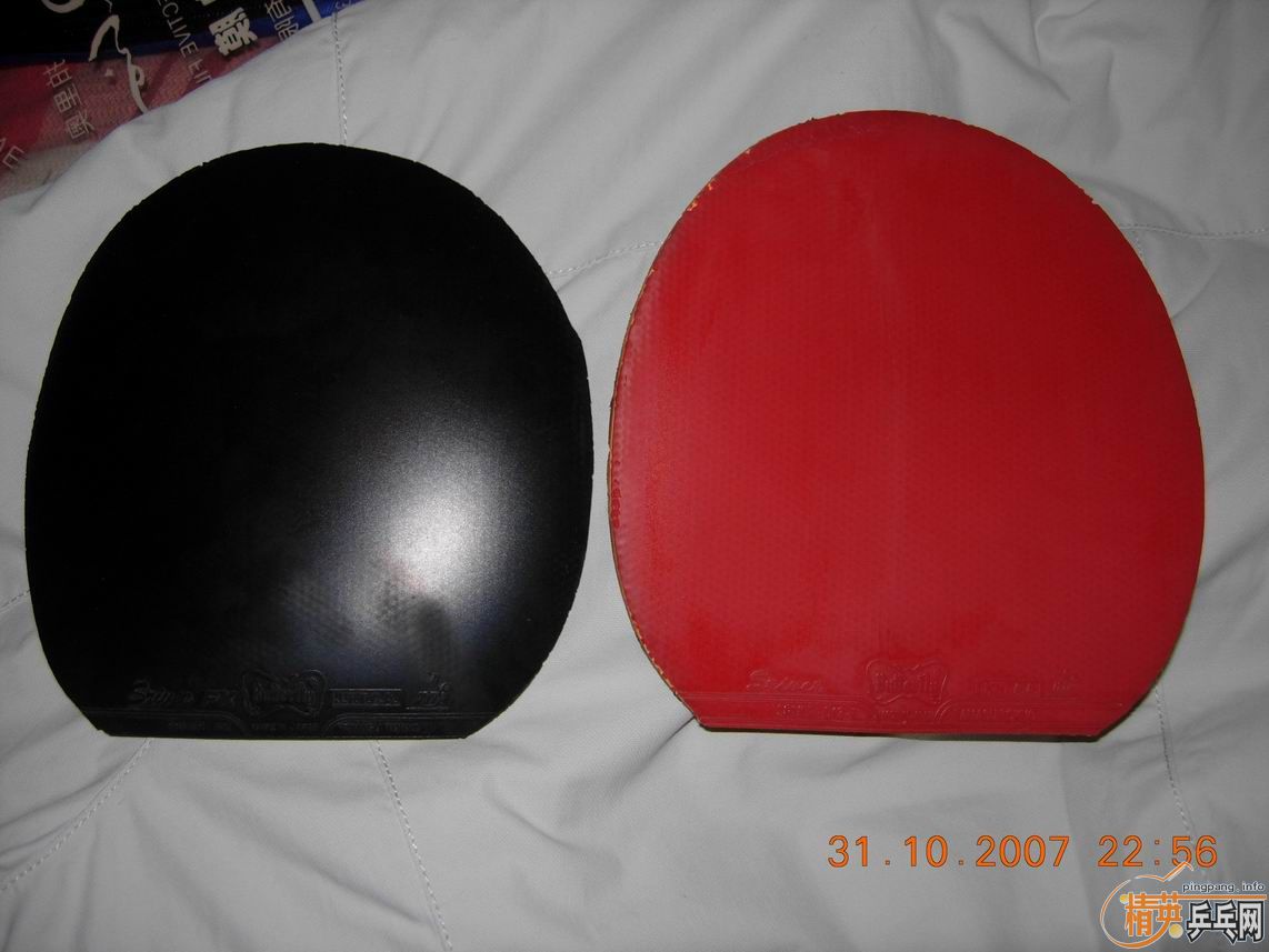 ��������˹���֣ƣػ������