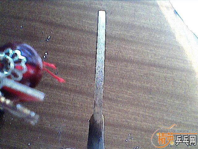 250���DONIC�������ɭ