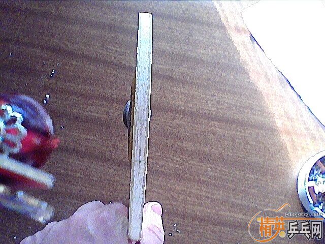 250���DONIC�������ɭ