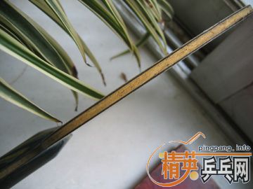 �����˴��������˹�ۿ� Eg-WRB ��OC-CR-WRB 310Ԫ������