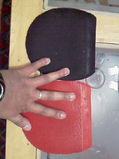 ���ѱ��˳����������׽�~~~