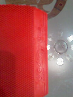 ���ѱ��˳����������׽�~~~