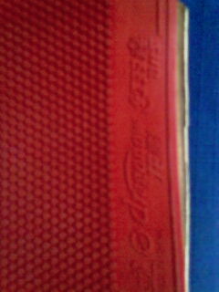 ���ѱ��˳����������׽�~~~