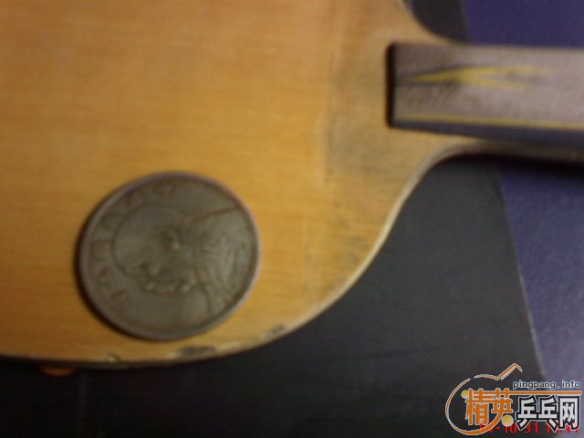 �ϰ�YSC������