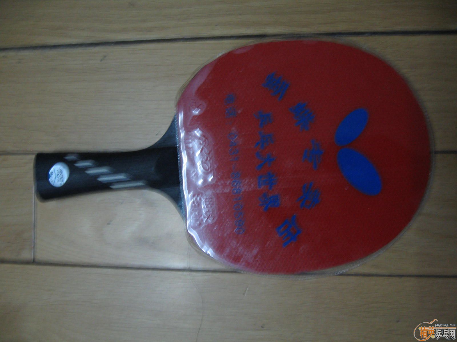 WgrWP5mx.jpg